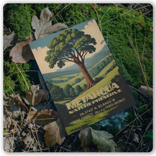 Metahqua Nature Preserve - Postcard